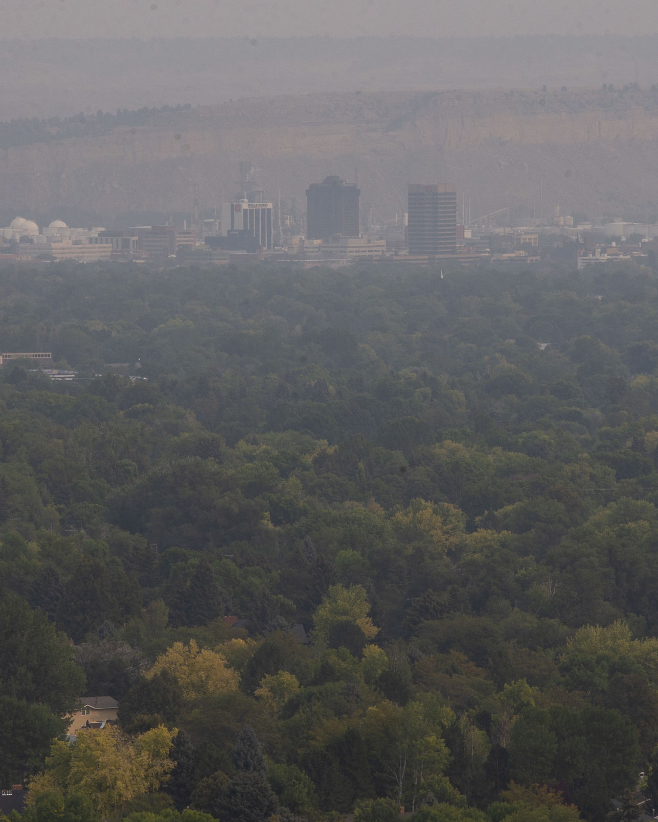 Downtown Billings
